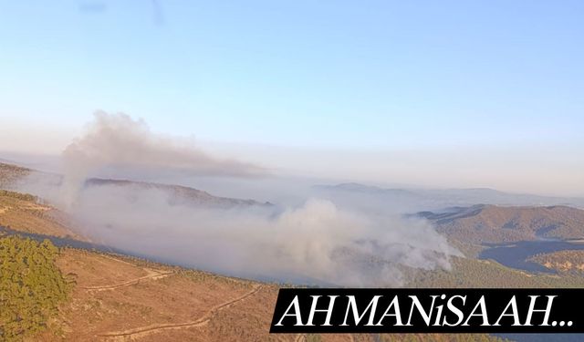 Gördes yangını Salihli’ye sıçramıştı! Herkes seferber oldu