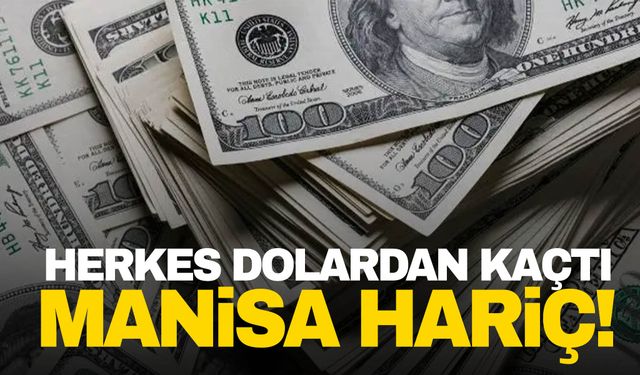 Herkes dolardan kaçtı Manisa hariç!