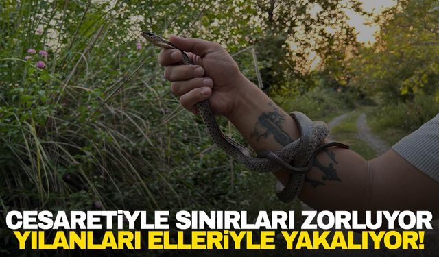 Herkes korkarken, o yılanları elleriyle yakalıyor!