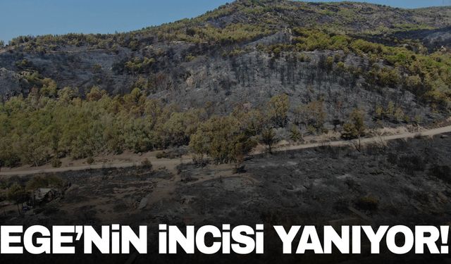 İzmir 4 gündür yanıyor! Yanan yerler havadan görüntülendi