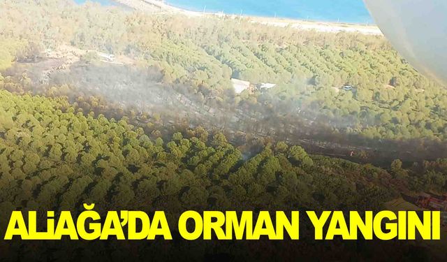 İzmir Aliağa’da yangın… Tüpraş’tan açıklama!