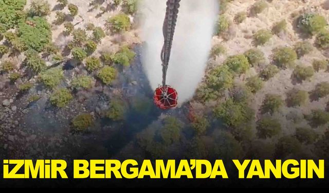 İzmir Bergama’da orman yangını… Ekipler müdahaleye başladı