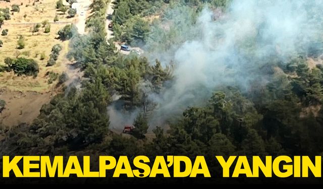 İzmir Kemalpaşa’da yangın… Ekipler söndürme çalışmalarına başladı