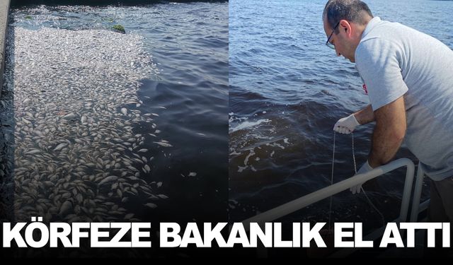 İzmir Körfezi’ne Bakanlık el attı… İnceleme başlatıldı