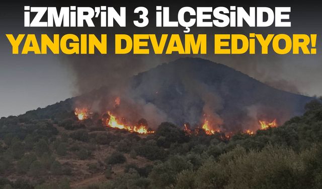 İzmir yangınla savaşıyor! 3 ilçede yangınla mücadele sürüyor