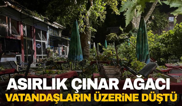 İzmir’de çınar ağacı kıraathanede oturanların üzerine devrildi! 2’si ağır 9 yaralı