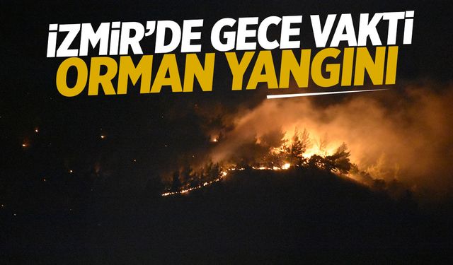 İzmir'de gece vakti orman yangını çıktı