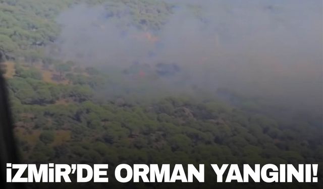 İzmir’de orman yangını çıktı! Havadan ve karadan müdahale sürüyor