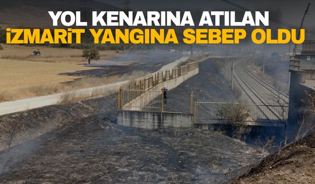 İzmir’de yol kenarına atılan sigara izmariti yangına sebep oldu