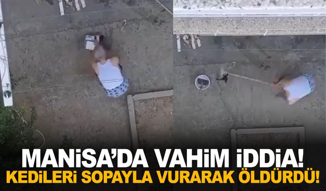 Manisa’da vahim iddia! Elindeki sopa ile kedileri vurarak öldürdü