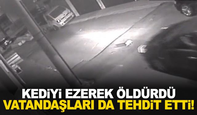 Kediyi aracıyla ezip öldürdü, vatandaşları ise tehdit etti