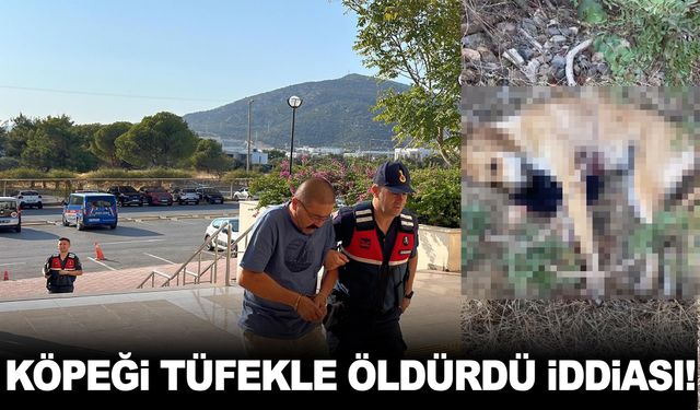 Ege’de köpeğin tüfekle vuruldu iddası!