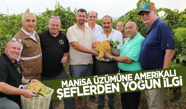 Manisa üzümüne Amerikan ilgisi