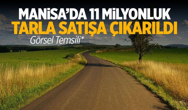 Manisa’da 11 milyonluk tarla satışa çıkarıldı