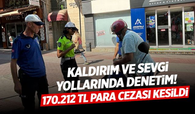 Manisa'da 121 araç ve sürücüsüne 170.212 TL ceza kesildi