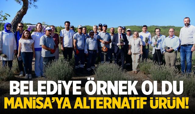 Manisa'da belediyenin ektiği alternatif üründe hasat yapıldı