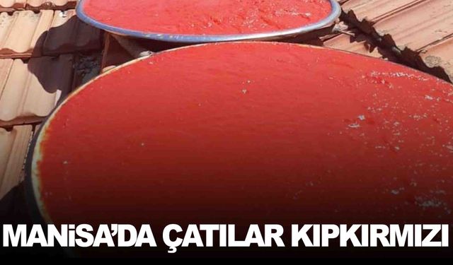 Manisa’da çatılar kıpkırmızı… Salça mesaisi sürüyor