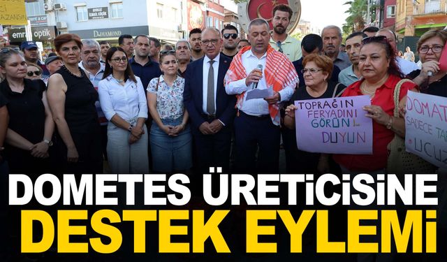 Manisa’da CHP'li başkan domates eylemine katılmayan çiftçiye sitem etti