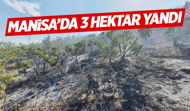 Manisa'da çıkan yangında 3 hektar tarım arazisi zarar gördü