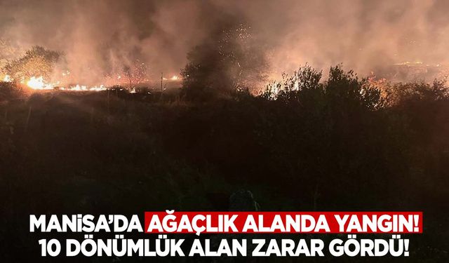 Manisa’da korkutan yangın… 10 dönümlük alan kül oldu!