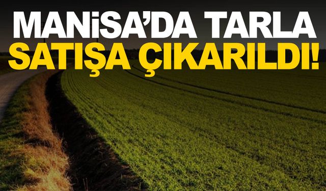 Manisa’da tarla satışa çıkarılıyor!