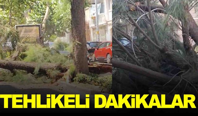 Manisa’da tehlikeli dakikalar… Bir anda devrildi!