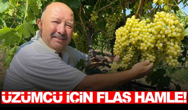 Manisa’da üzümcü için flaş hamle… Güvenle satış yapabilecekler!