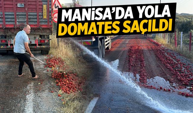 Manisa'da yola domates saçıldı!