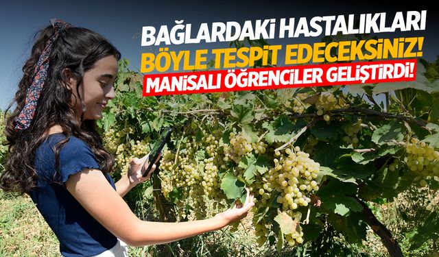 Manisalı öğrencilerden üzüm bağlarını kurtaracak çözüm: Kişisel Bağ Asistanı