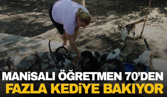 Manisalı öğretmen 70’den fazla kediye bakıyor! Sesine onlarca kedi koşuyor