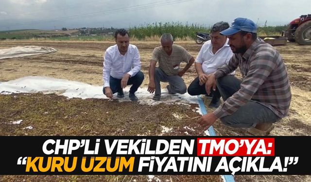 Manisalı üreticilerin gözü kulağı TMO’da… CHP’li vekilden TMO’ya çağrı!