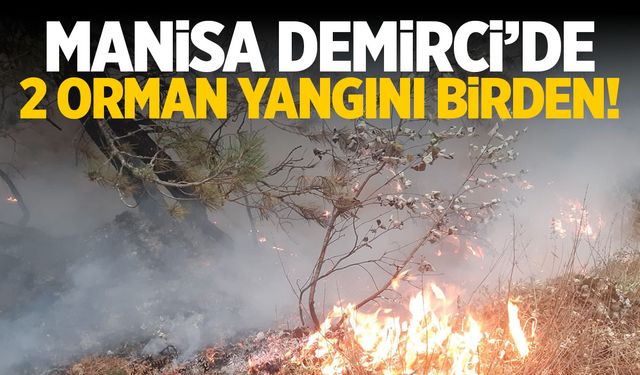 Manisa'nın Demirci ilçesinde 2 orman yangını