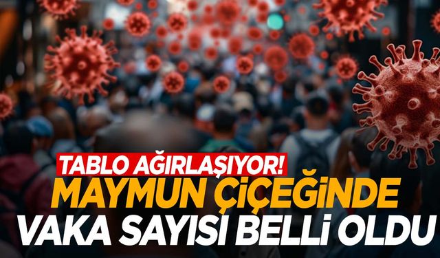 Maymun çiçeği virüsünde tablo ağırlaşıyor!