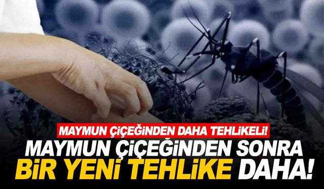 Türkiye’de ‘Batı Nil Virüsü’ alarmı!  Maymun çiçeğinden daha tehlikeli…