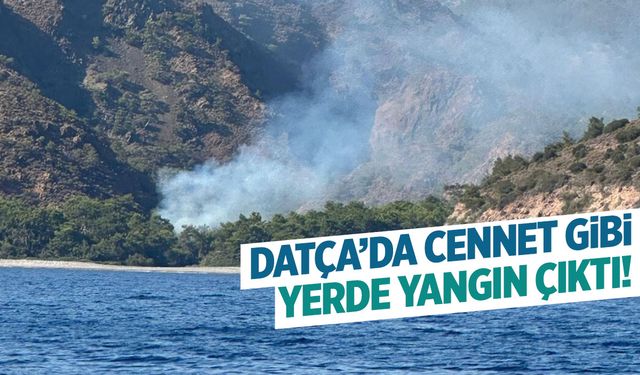 Muğla-Datça'da cennet gibi yerde yangın çıktı