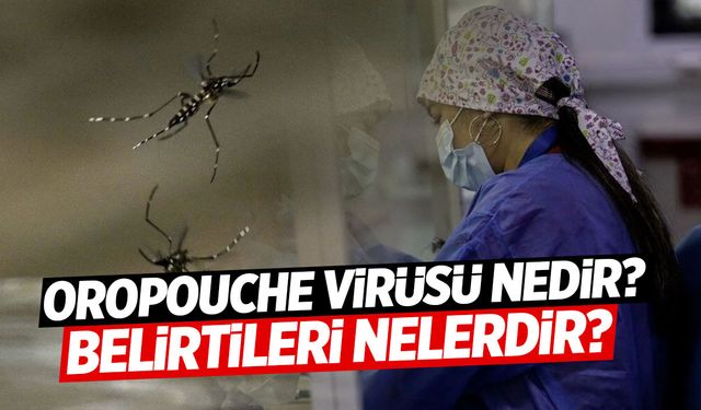 Oropouche Virüsü Nedir? Belirtileri Nelerdir? Nasıl Bulaşır?