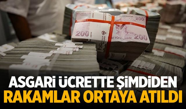 Rakamlar Ortaya Atıldı! 2025 Asgari Ücret Ne Kadar Olacak?