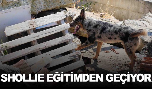 Sağlık Bakanlığı’nın ilk arama-kurtarma köpeği!