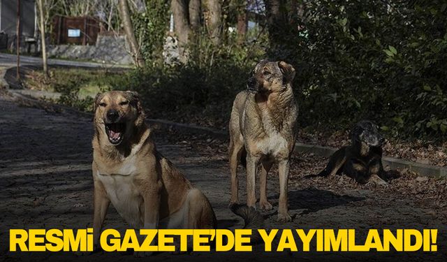 Sahipsiz hayvanlara yönelik düzenlemeler içeren kanun Resmi Gazete'de yayımlandı