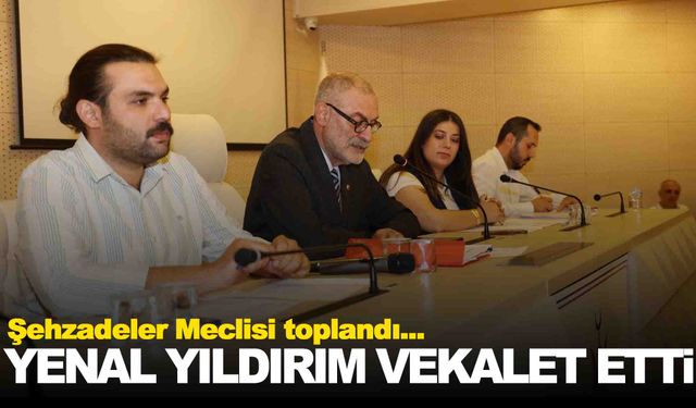 Şehzadeler Meclisi Durbay’sız toplandı