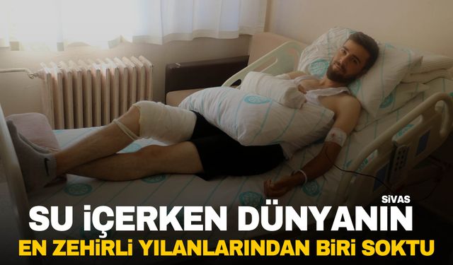 Su içmek isteyen vatandaşı yılan soktu… O da dünyanın en zehirli yılanlarından biri çıktı