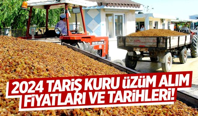 TARİŞ Kuru Üzüm Fiyatları 2024: TARİŞ Kuru Üzüm Tarihleri Belli Oldu