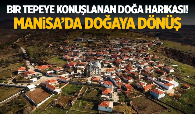 Tepeye Kurulu Bir Manisa Köyü! Manisa’nın Sakin Köşesi…