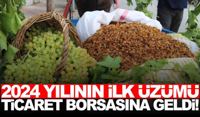 Üzümün başkentinde büyük gün… İlk üzüm Manisa Ticaret Borsası’nda