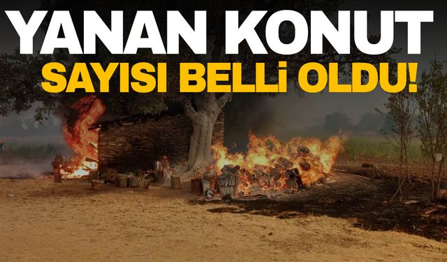 Manisa ve İzmir’de yangından zarar gören konut sayısı belli oldu!