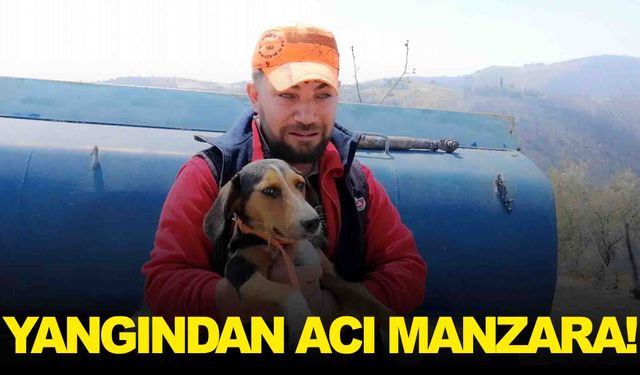 Yangından acı manzara… Köpeğine sarılarak ağladı