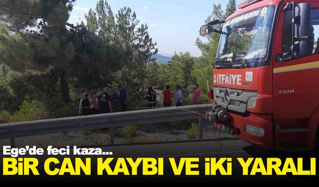 Ege’de kaza… Yoldan çıkan otomobil ağaca çarparak durabildi