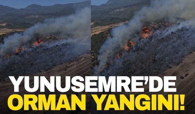 Yunusemre’de orman yangını çıktı! Ekipler müdahale ediyor