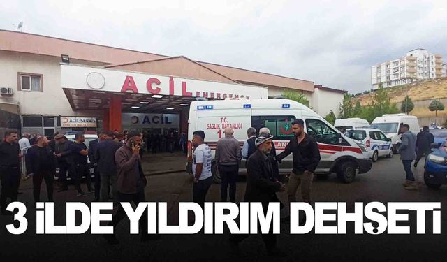 3 ilde yıldırım dehşeti… 3 ölü, 9 yaralı… Onlarca hayvan da telef oldu!