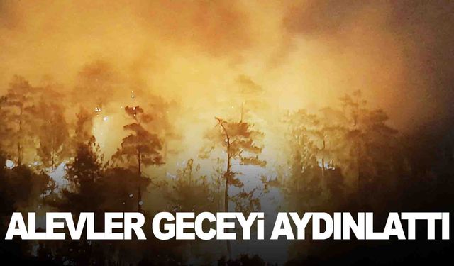 Ege’de alevler geceyi aydınlattı… Orman yangını kontrol altına alınamıyor!